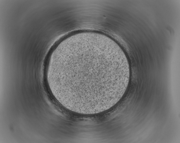 X0000110940580200907171610