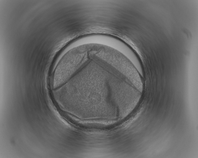 X0000110940581200907171610