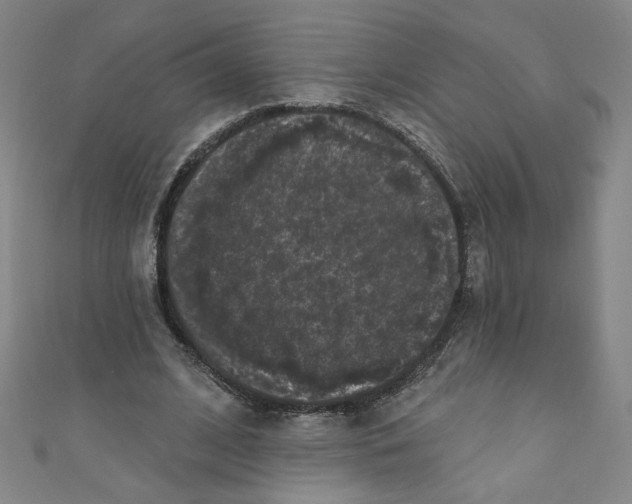X0000110940584200907171610