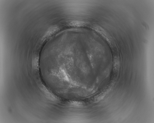X0000110940585200907171610
