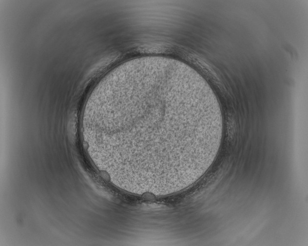 X0000110940586200907171610