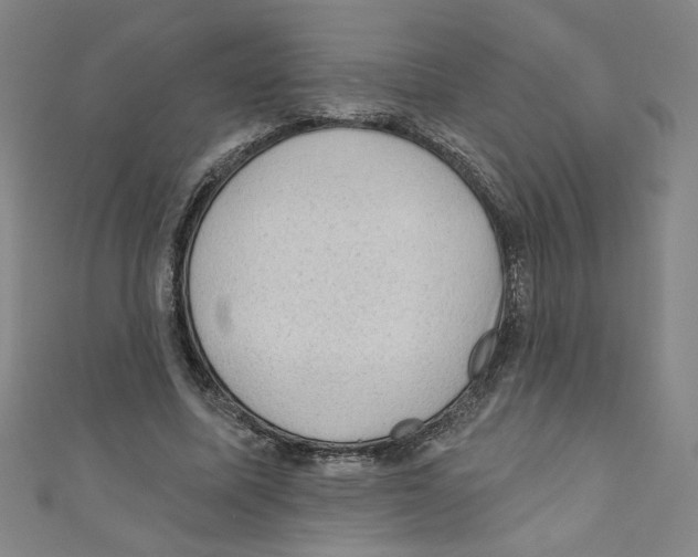 X0000110940587200907171610