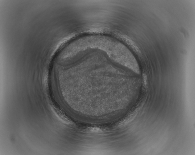 X0000110940588200907171610