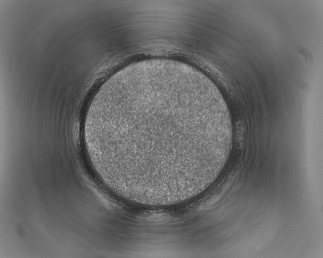X0000110940589200907171610