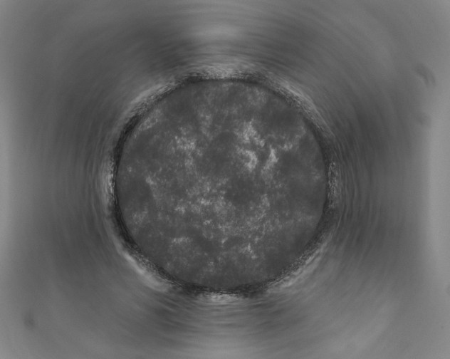 X0000110940590200907171610