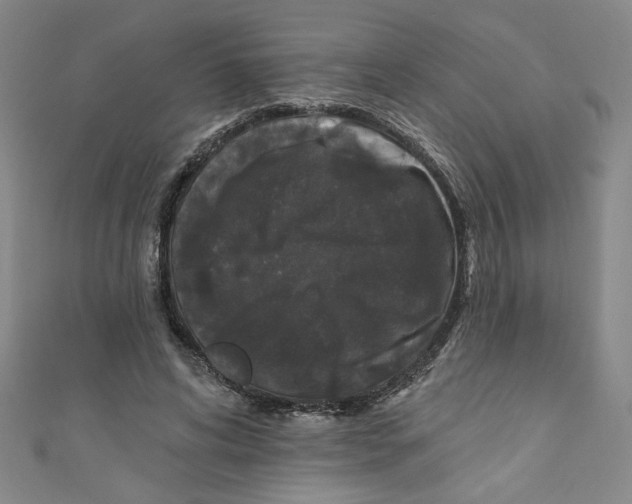 X0000110940592200907171610