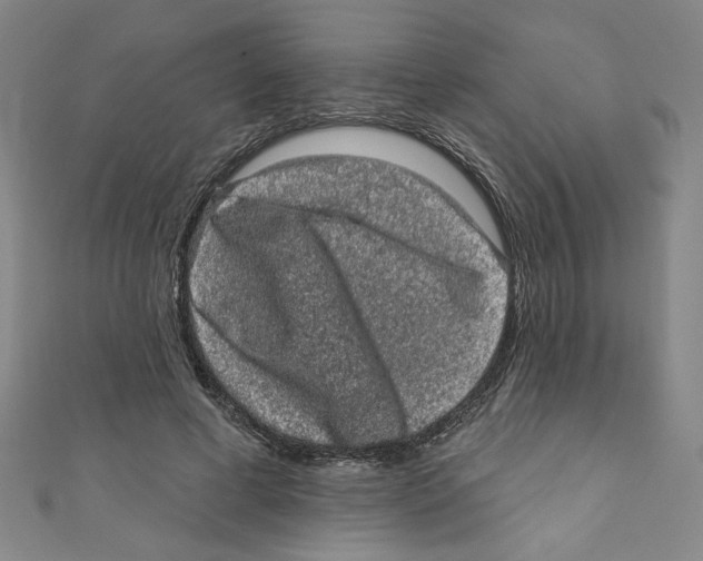 X0000110940593200907171610