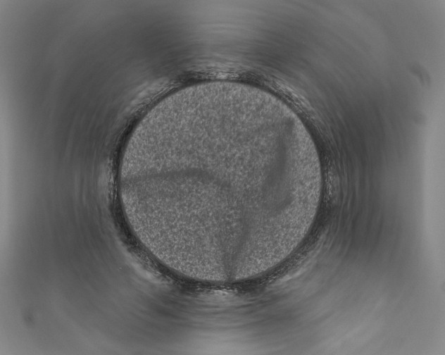 X0000110940594200907171610