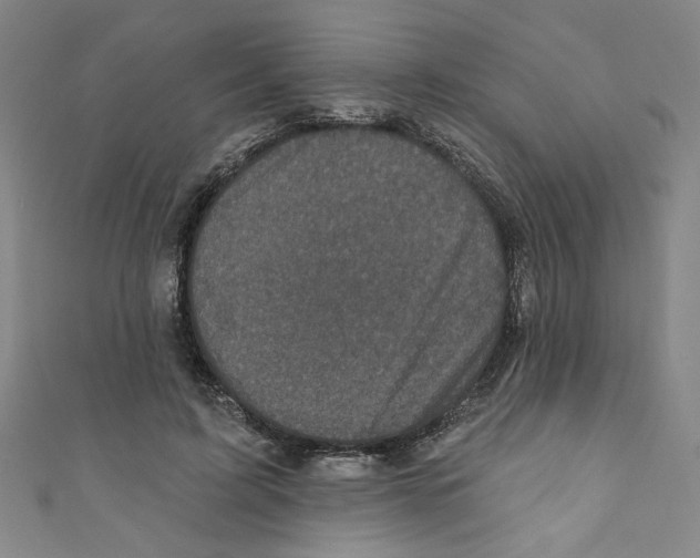 X0000110940595200907171610