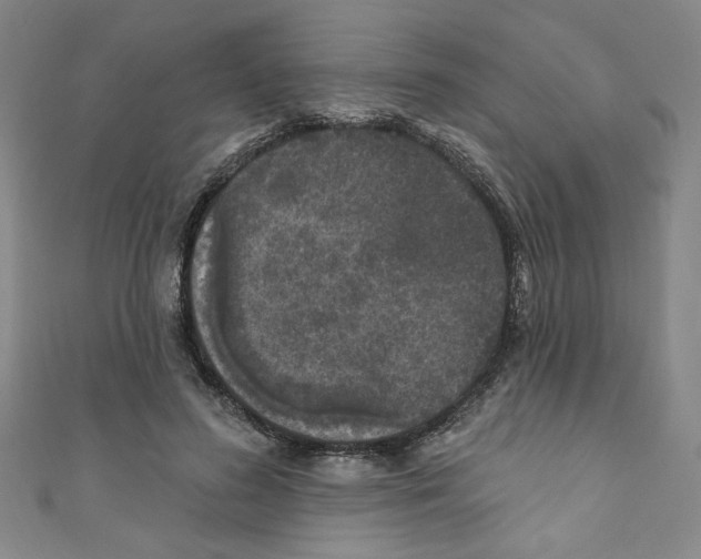 X0000110940596200907171610
