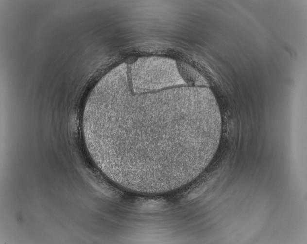 X0000110940597200907171610