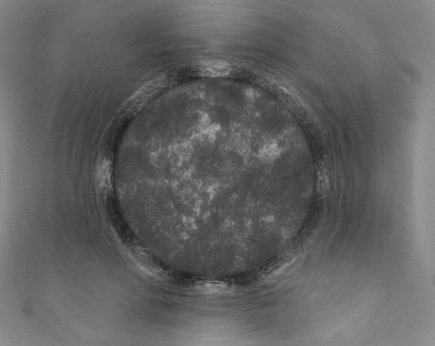 X0000110940598200907171610