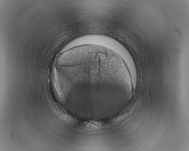 X0000110940599200907171610