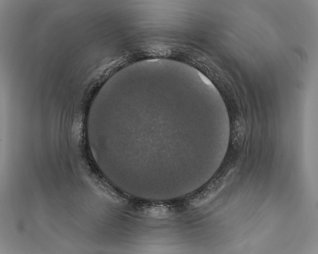 X0000110940600200907171610