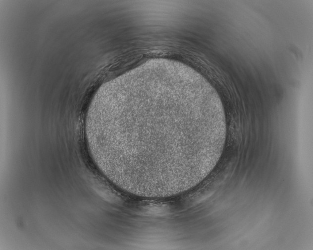 X0000110940601200907171610