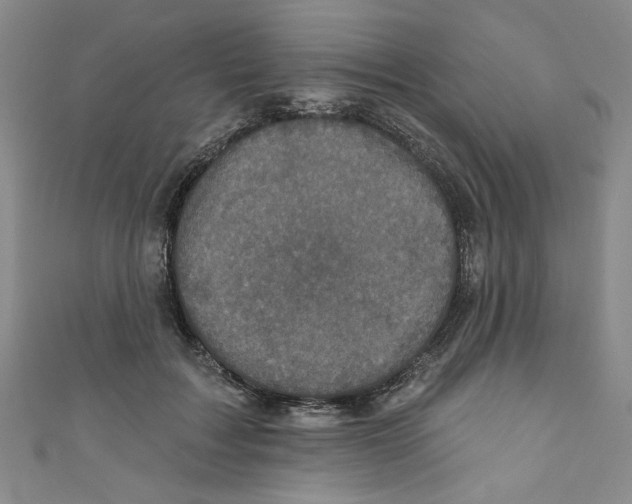 X0000110940603200907171609
