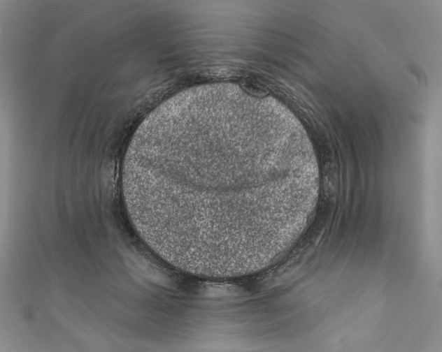 X0000110940605200907171609