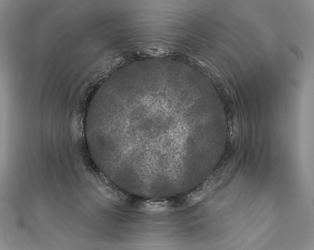 X0000110940606200907171609