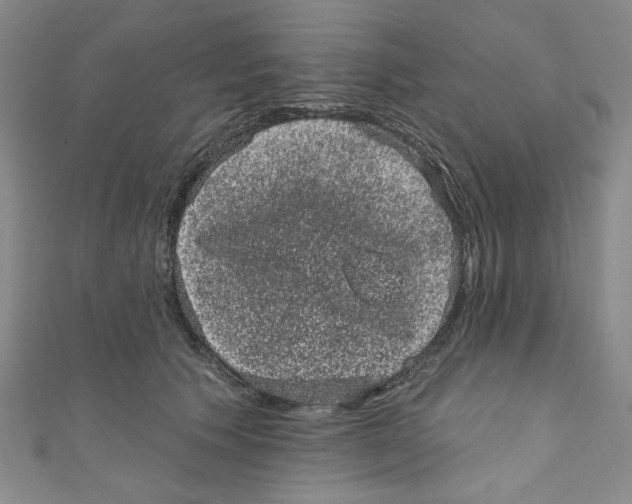 X0000110940609200907171609