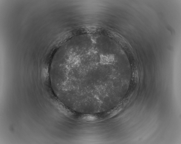 X0000110940610200907171609
