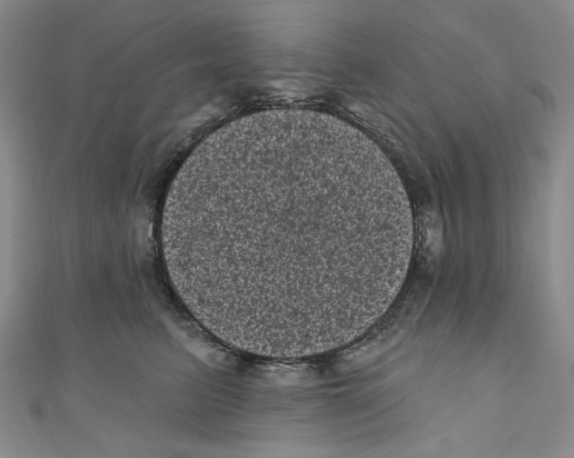 X0000110940615200907171609