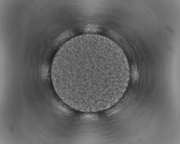 X0000110940619200907171609