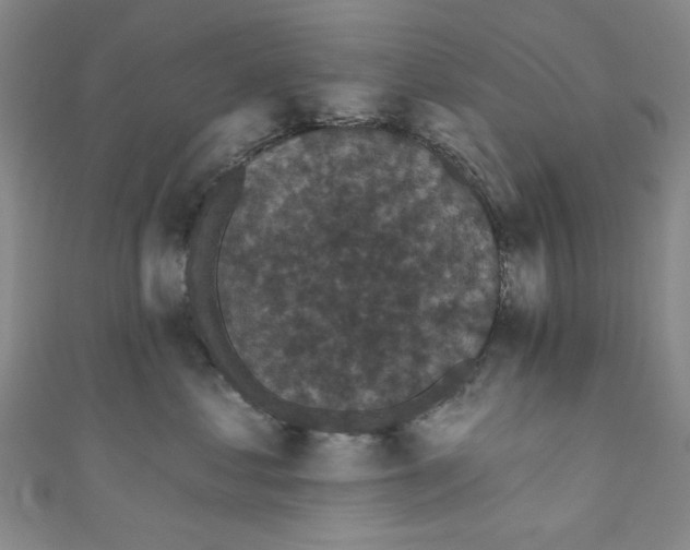 X0000110940621200907171609