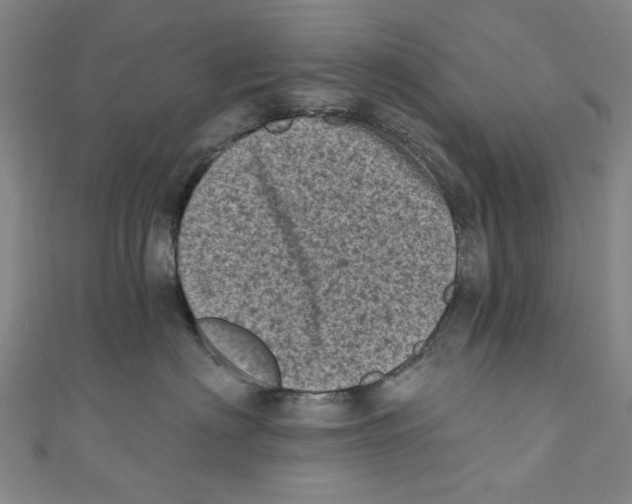 X0000110940622200907171609