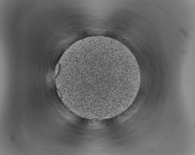 X0000110940624200907171609