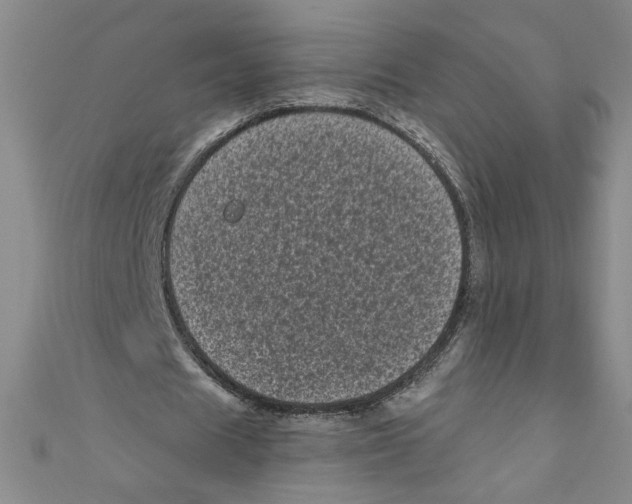 X0000110940625200907171608