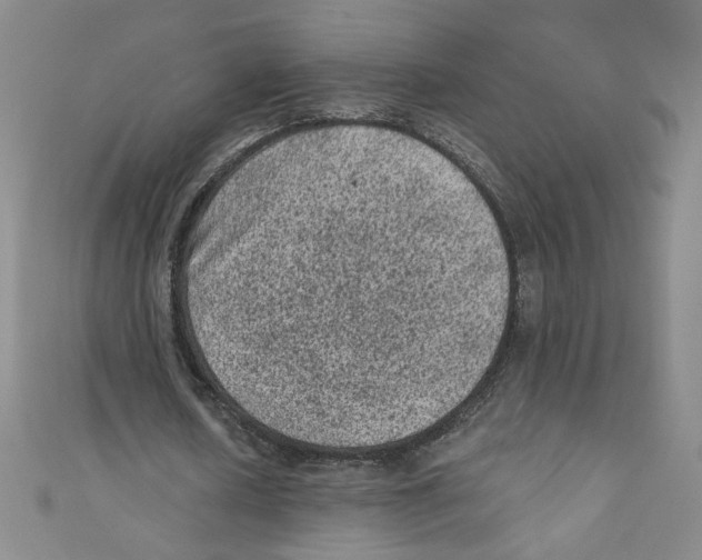 X0000110940626200907171608