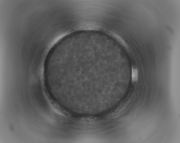 X0000110940627200907171608