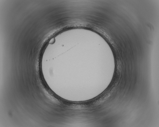 X0000110940629200907171608