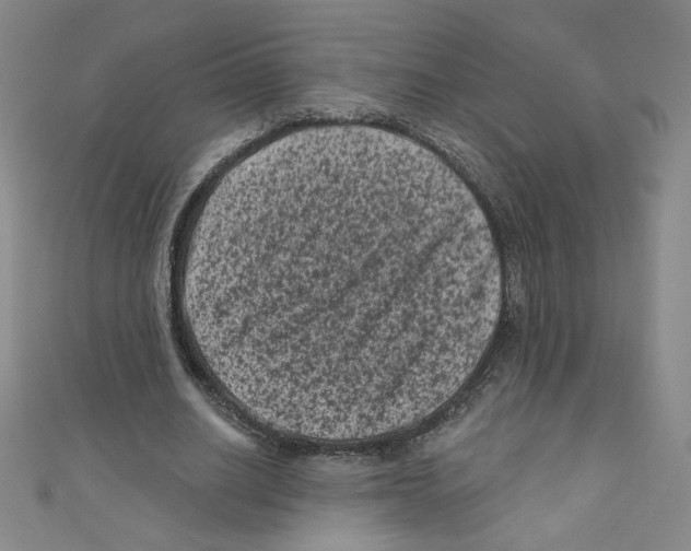 X0000110940630200907171609