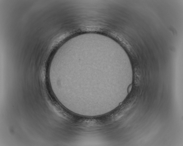 X0000110940631200907171609