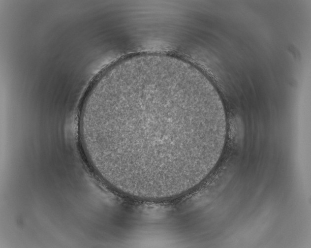 X0000110940632200907171609