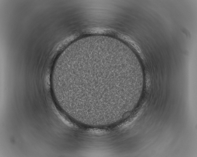 X0000110940633200907171609