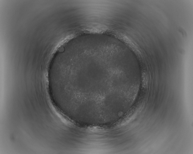 X0000110940634200907171609