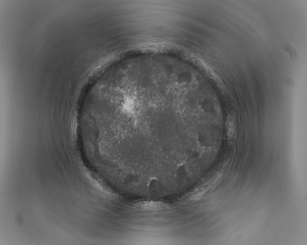 X0000110940637200907171609