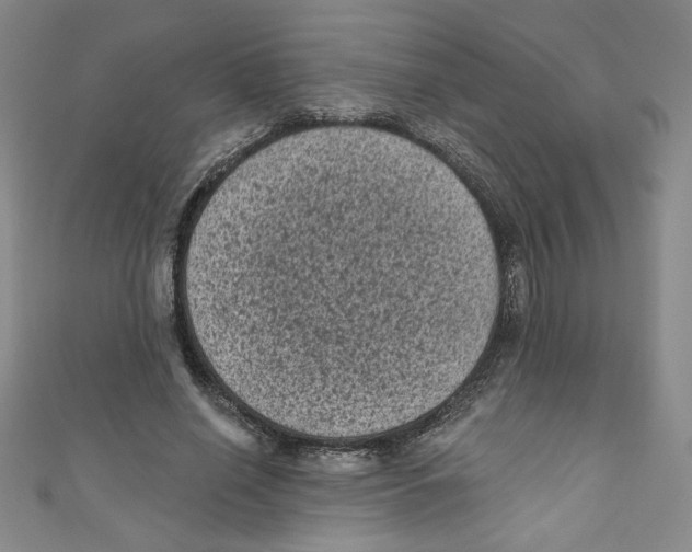 X0000110940638200907171609