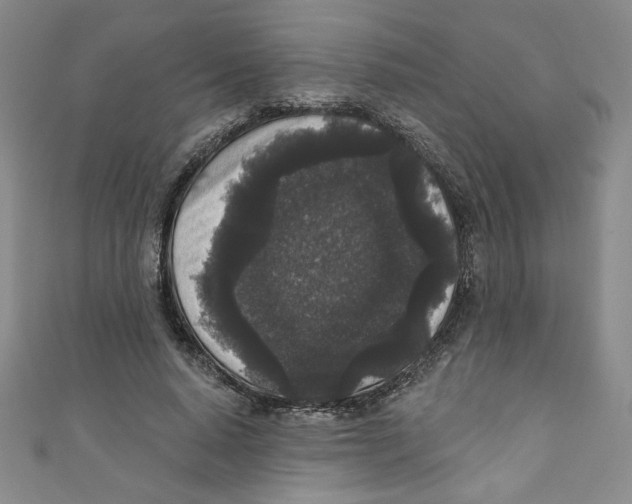 X0000110940640200907171609
