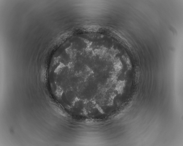 X0000110940641200907171609