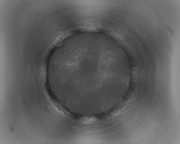 X0000110940642200907171609