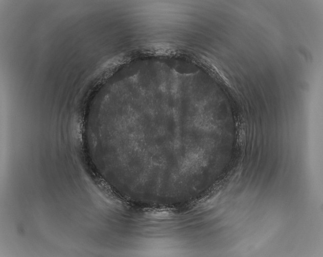 X0000110940643200907171609