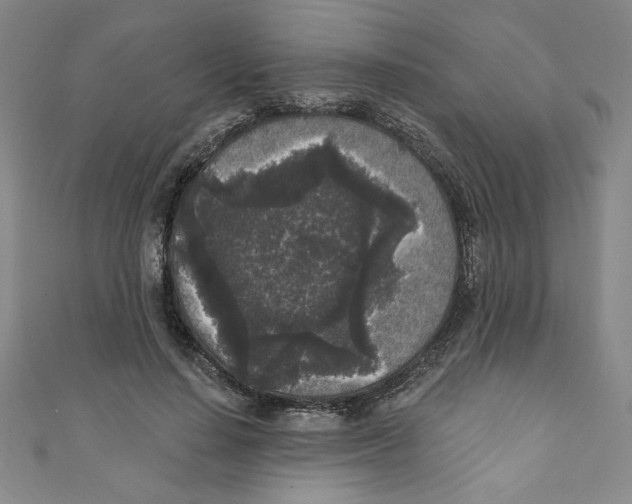 X0000110940644200907171609
