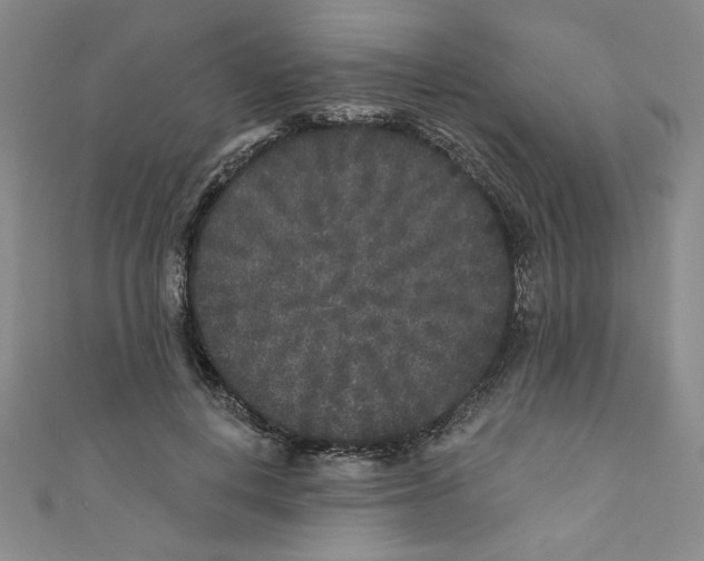 X0000110940648200907171609