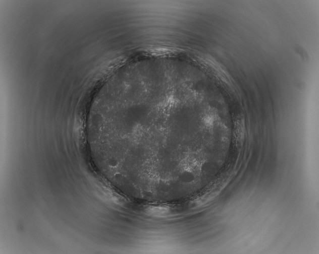 X0000110940653200907171609