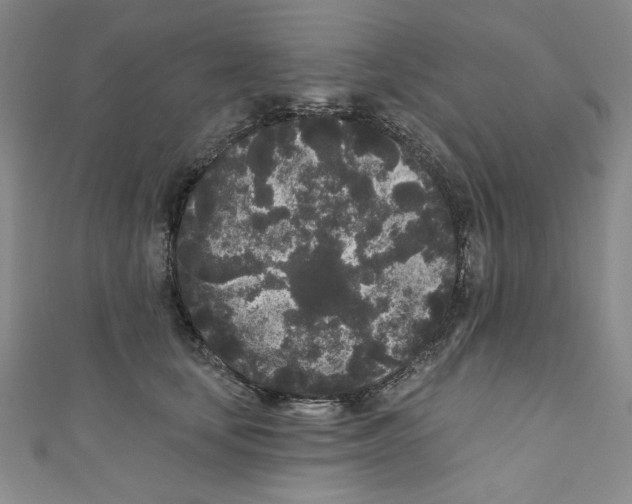 X0000110940659200907171609
