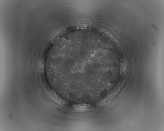 X0000110940661200907171609
