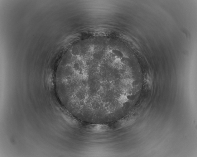 X0000110940663200907171609